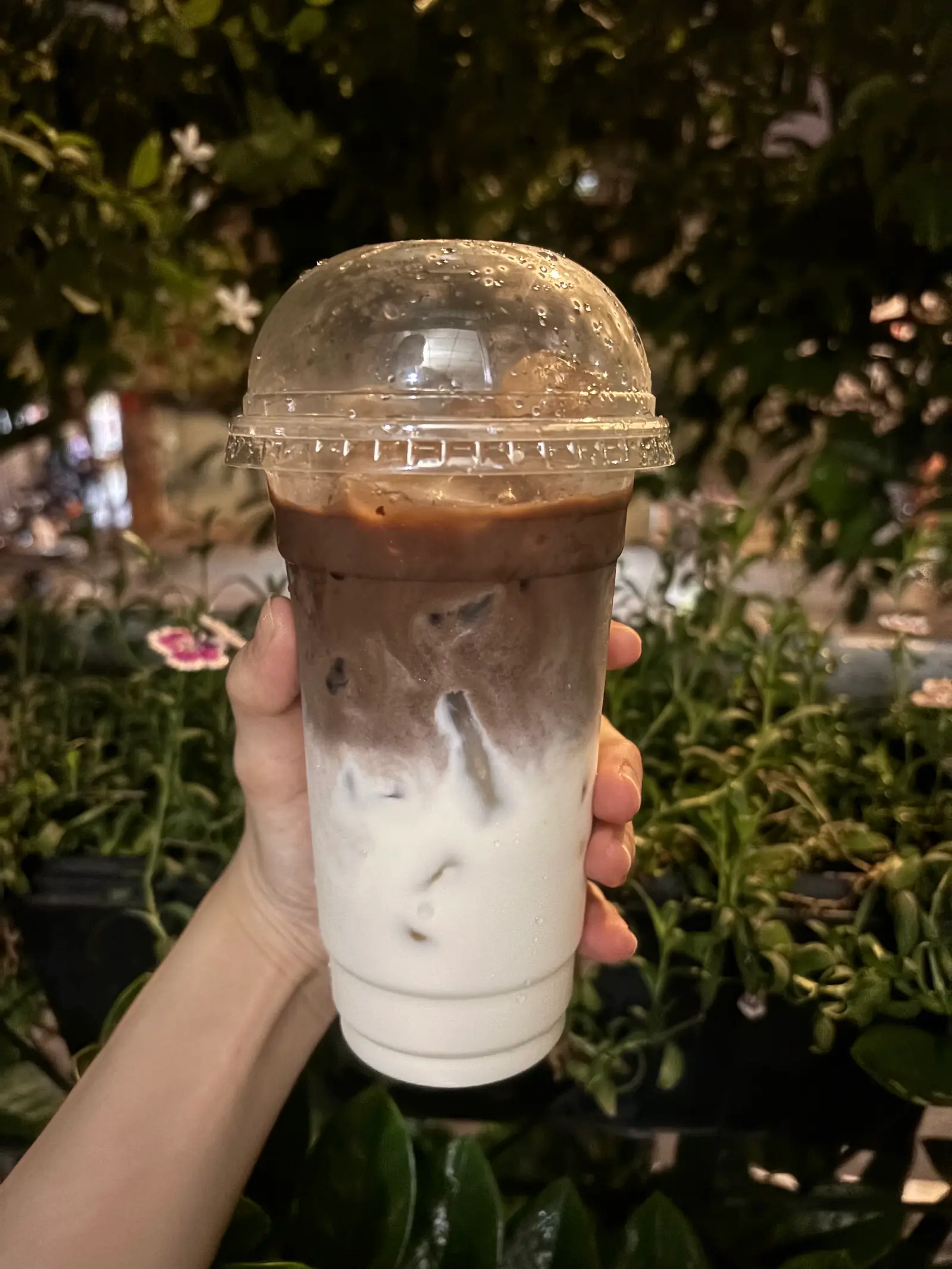 Hình ảnh Cacao latte