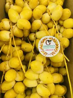 Hình ảnh Chà là tươi Thái - kg