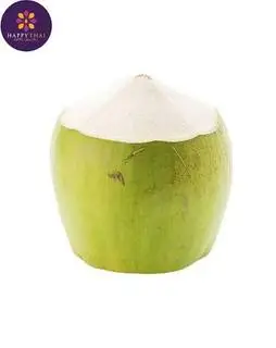 Hình ảnh Dừa trái