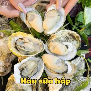 Hình ảnh Hàu Hấp Sả -12Con