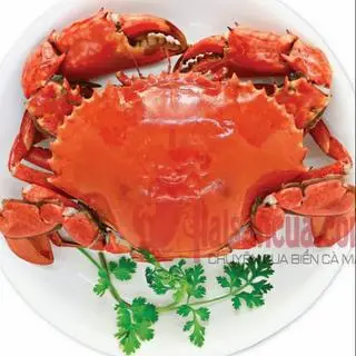 Hình ảnh cua thịt hấp size đại _1con (size 2c >1kg )