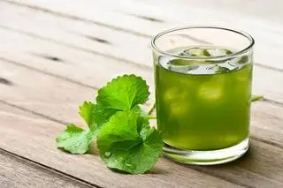 Hình ảnh rau má đường