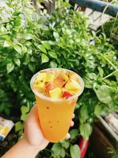 Hình ảnh Trà trái cây nhiệt đới
