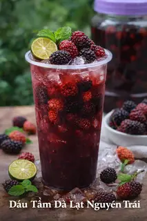 Hình ảnh Dâu tầm Đà Lạt Big Size