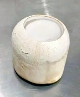 Hình ảnh Rau câu trái dừa