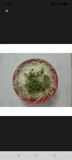 Hình ảnh Đu đủ thêm