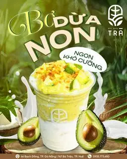 Hình ảnh bơ già dừa non 