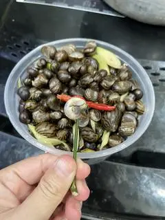 Hình ảnh Ốc Lác ( Gạo Huế )