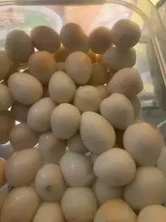 Hình ảnh Trứng cút thêm