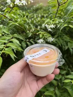 Hình ảnh Panna cotta vị xoài - 1 hũ