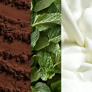Hình ảnh Cacao Bạc Hà
