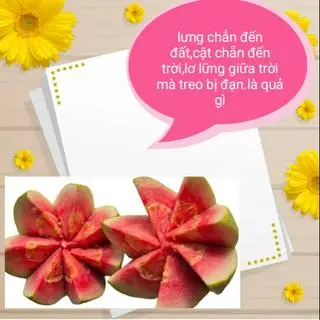 Hình ảnh Ổi Xẻ 300gr