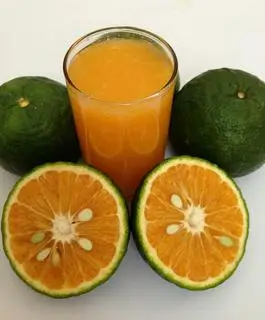 Hình ảnh Cam vắt ly 500ml