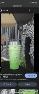 Hình ảnh SÂM DỨA SỮA