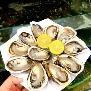 Hình ảnh Hàu gỏi