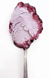 Hình ảnh Ladies Blueberry Ice cream