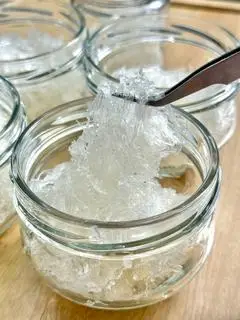 Hình ảnh Yến tươi chưa chưng (10gram)