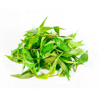Hình ảnh 1 phần rau răm tươi xanh 