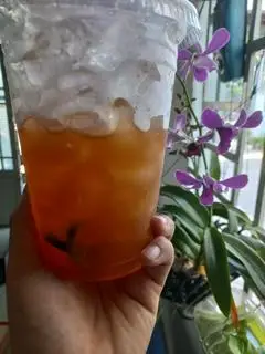 Hình ảnh Trà Tăc Ly Vừa 