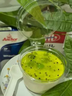 Hình ảnh panacotta vị kiwi