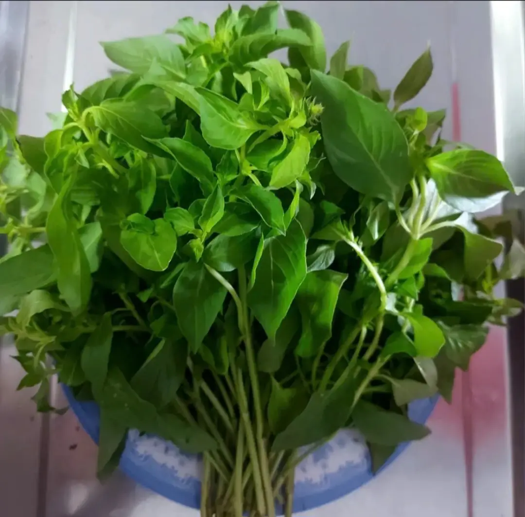 Hình ảnh Rau é thêm lẩu