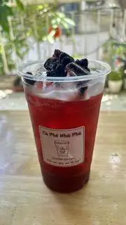 Hình ảnh TRÀ DÂU TẰM 