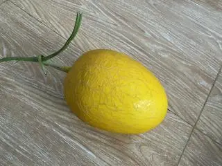 Hình ảnh Dưa lưới vàng