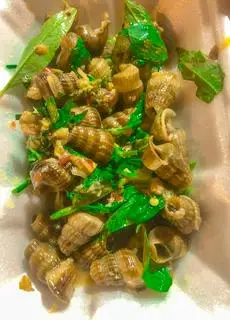 Hình ảnh Ốc Len