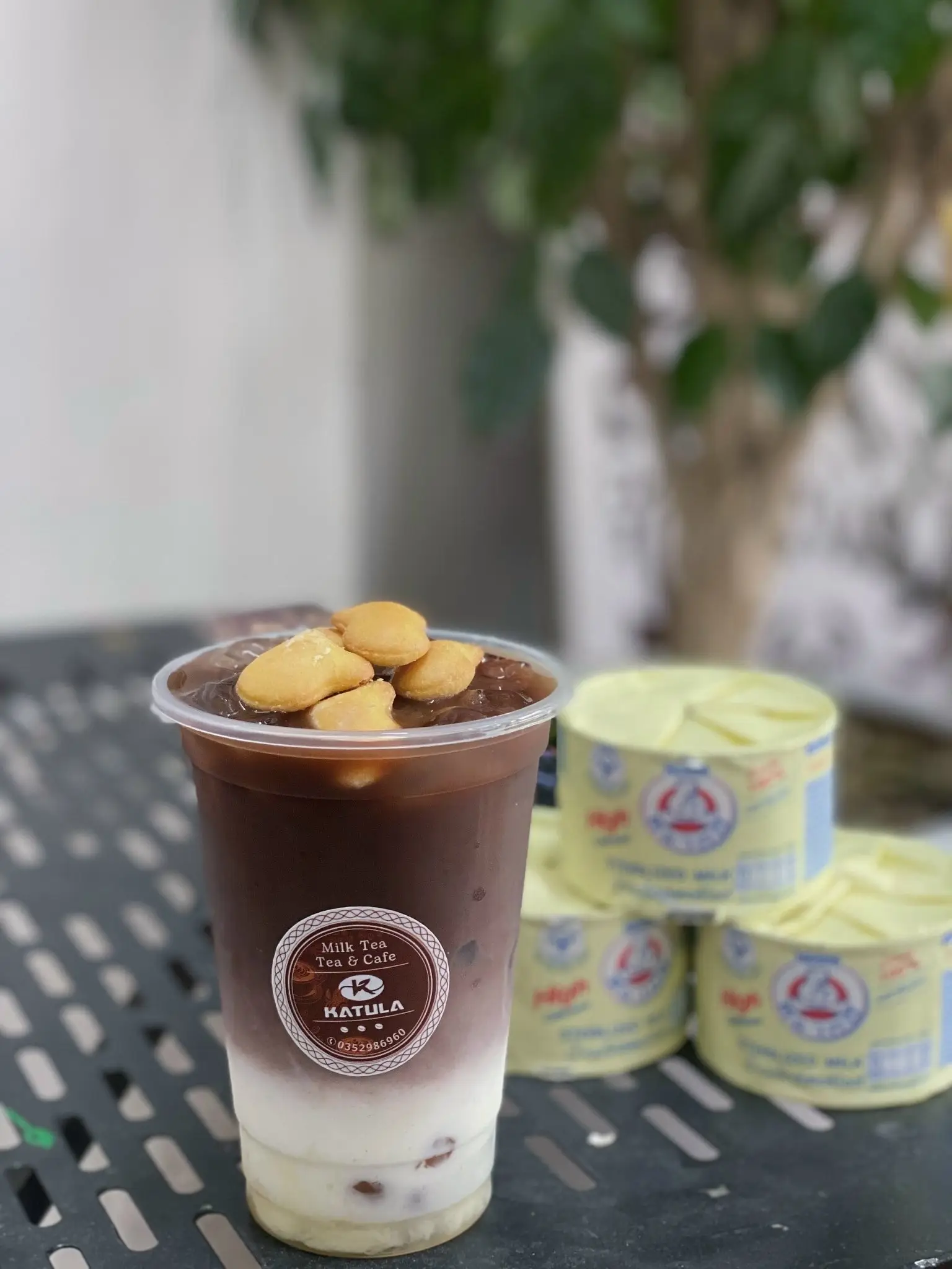 Hình ảnh Cacao sữa gấu