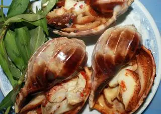 Hình ảnh Ốc khế - nướng muối ớt
