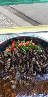 Hình ảnh ốc Đinh xào xã ớt