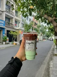 Hình ảnh Cacao bạc hà