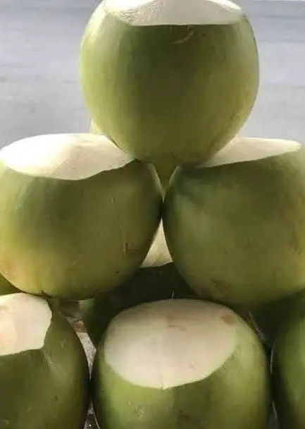 Hình ảnh nước dừa xiêm