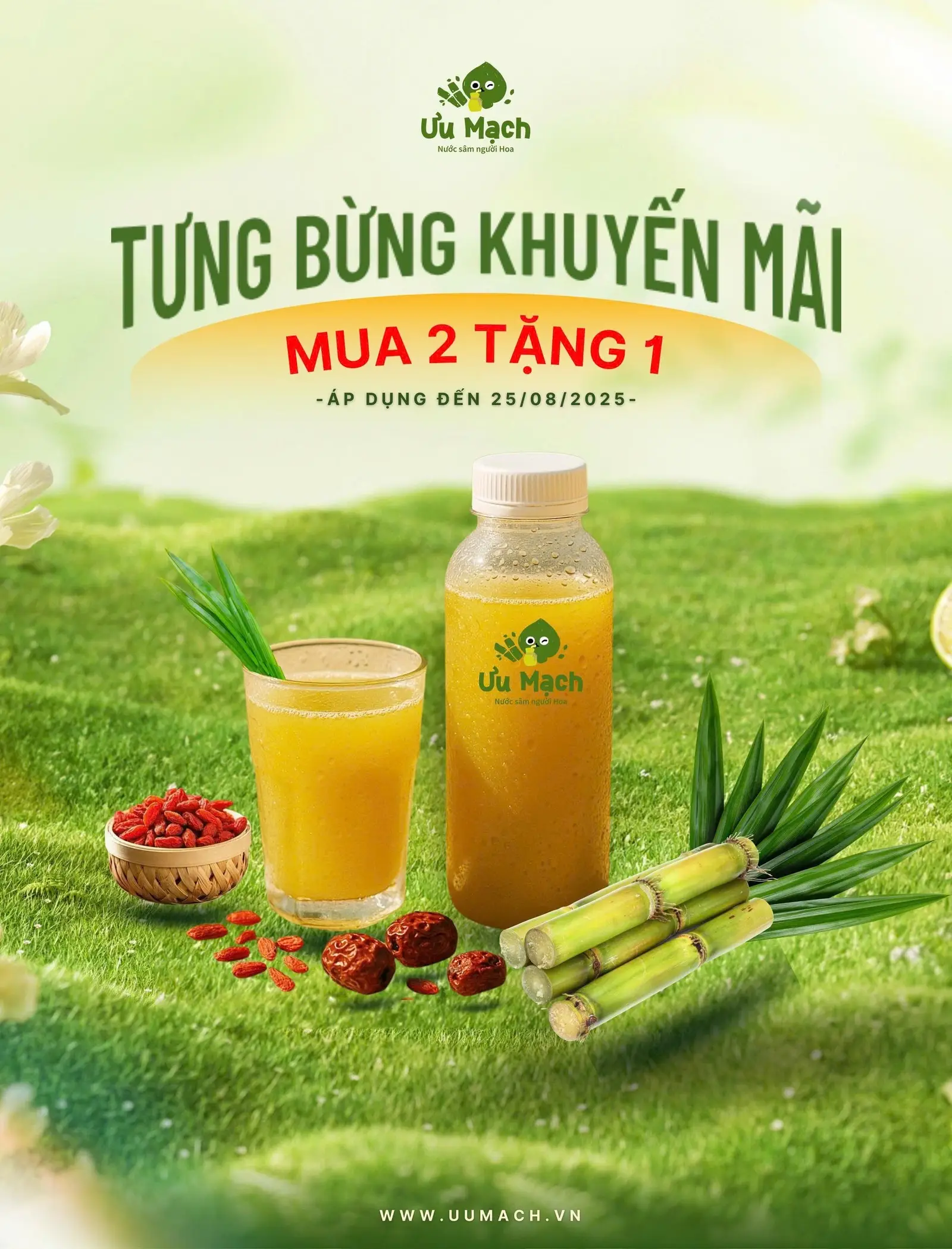 Hình ảnh Sâm mía lau gia truyền, chai 330ml