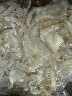 Hình ảnh Thân Sứa 