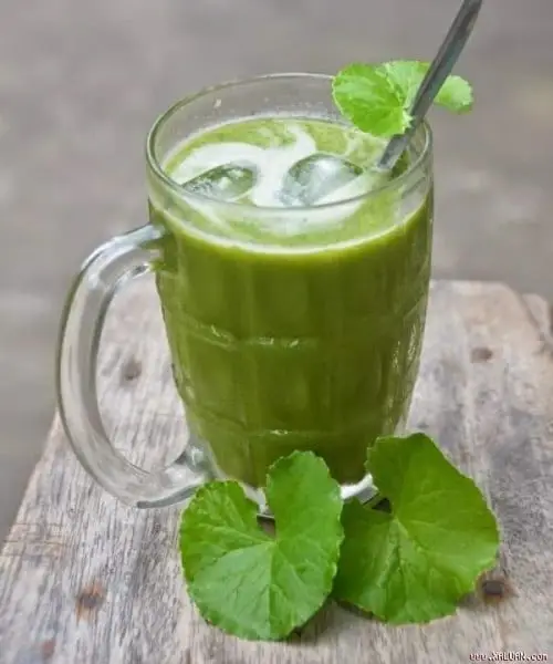 Hình ảnh rau má sữa (ly 1 lít)
