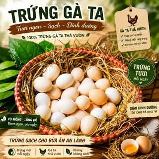 Hình ảnh trứng gà ta 