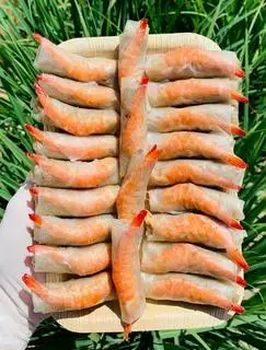 Hình ảnh Chả ram tôm đất 500g (25-27 cuốn)