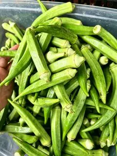 Hình ảnh Thực Phẩm Sạch 