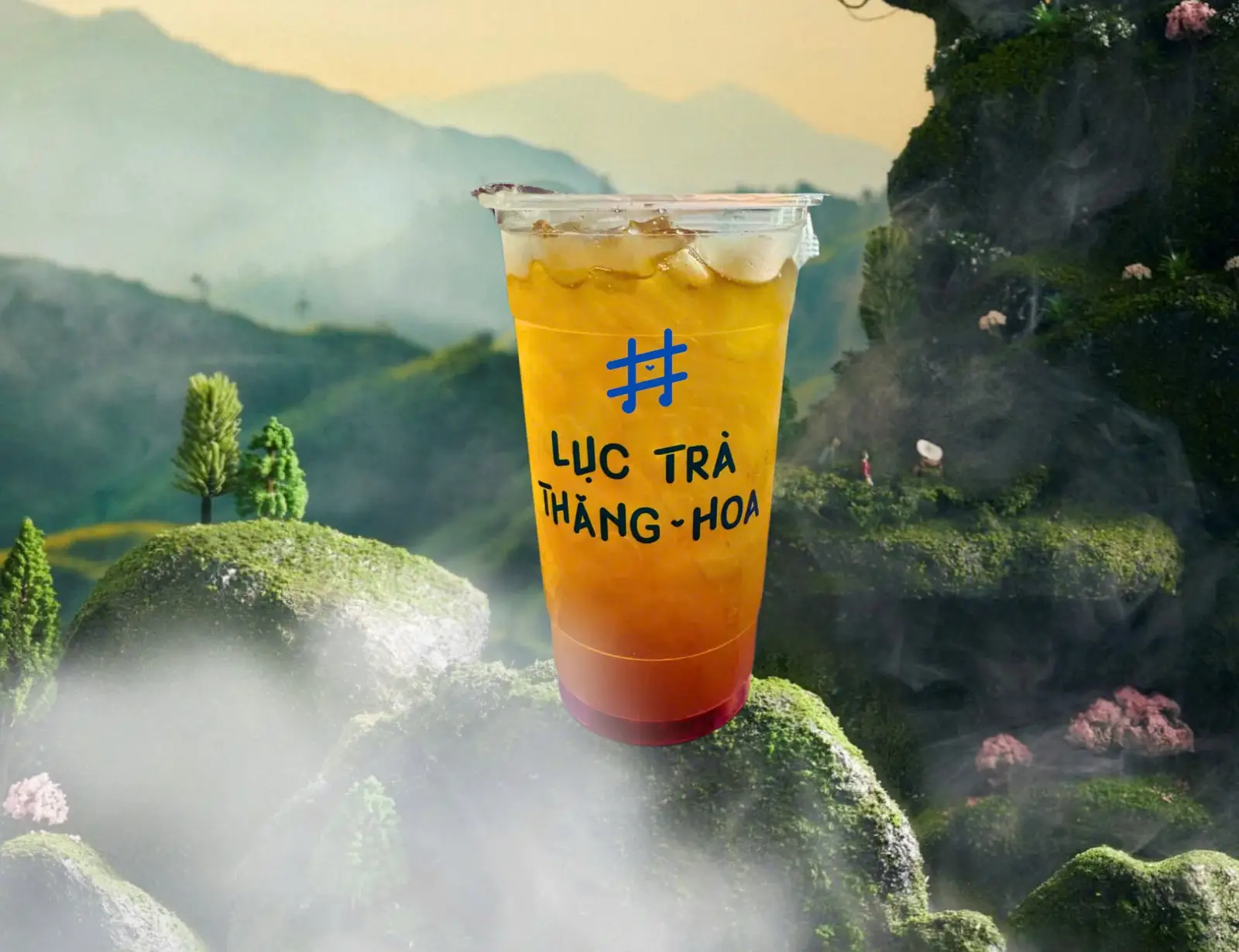 Hình ảnh Lục Trà Vải Dâu Tây