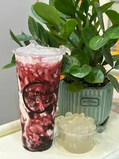 Hình ảnh Sữa Tươi Việt Quất