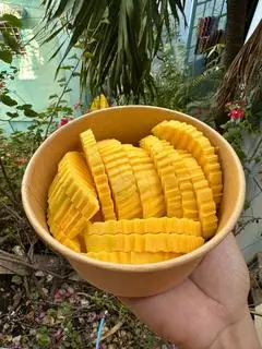Hình ảnh XOÀI