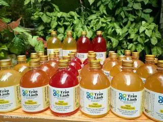 Hình ảnh Kombucha Nguyên Vị