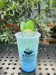 Hình ảnh soda biển xanh 