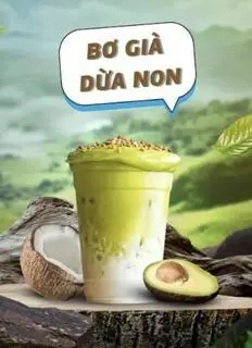 Hình ảnh Bơ già dừa non