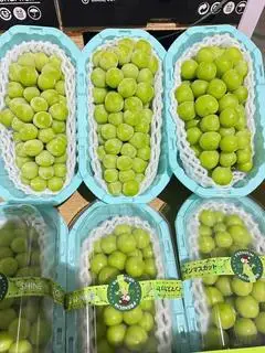 Hình ảnh NHO SỮA