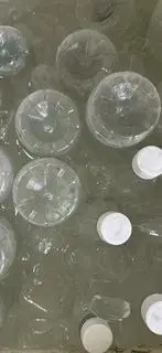 Hình ảnh Dừa chai lớn