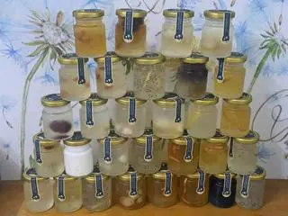 Hình ảnh yến chưng tươi nóng _yến sào hồng bình
