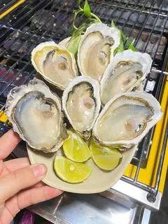 Hình ảnh 5 HÀU SỐNG WASABI ( 10 tặng 1) 