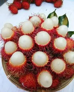 Hình ảnh Chôm Chôm 